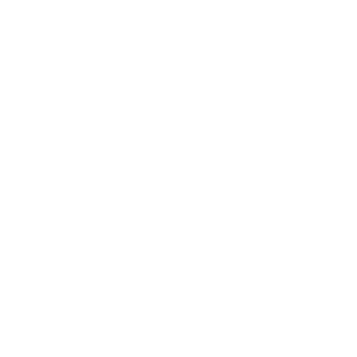 Australian Small Business Champion