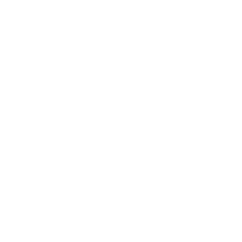 BRW Fast 100