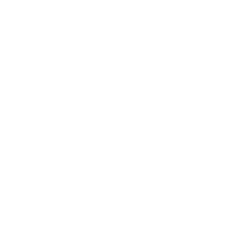 Google Partners All Stars