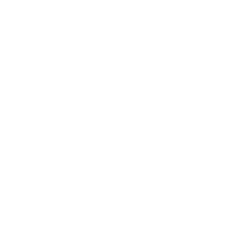 Stevie BRonze Winner